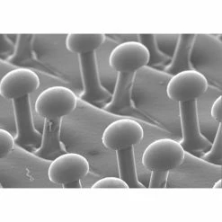 3M™ Disc Pad Holder 917 7" x 5/16" x 3/8" - 5/8-11 INT