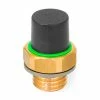 Brass Breather Valve with Plastic Cap - G 1/2" Pipe Thread - J.W. Winco 883-G1/2-160-B-MS