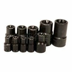 K-Tool International Socket, 3/8" Drive, E16 External Torx